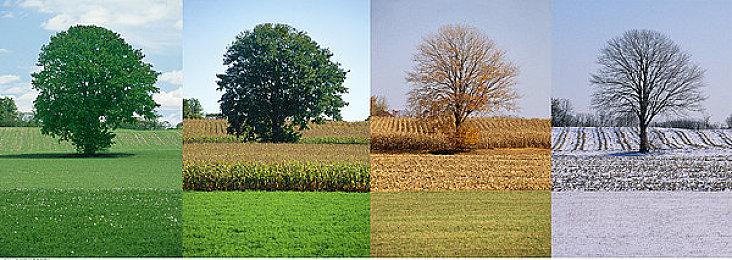 《龙腾世纪：影障守护者》配置公布 不使用D加密