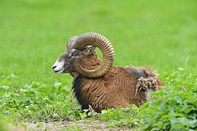 《凯娜：精神之桥》发售一个月便实现了盈利